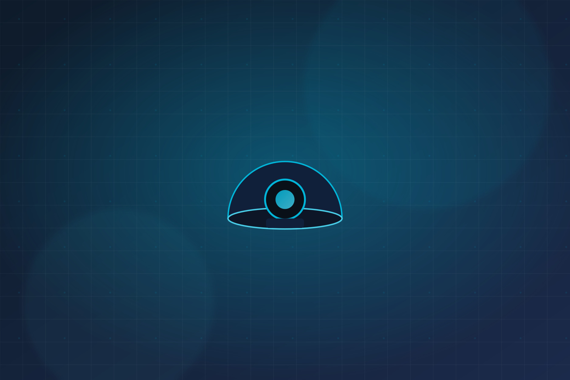 Enterprise Security Camera Installation